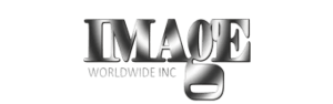 IDF Logo