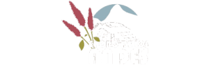 Oro Andes Logo